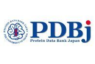 PJ画像