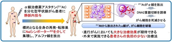 進行がん治療のためのアルファ線核医学治療開発事業について