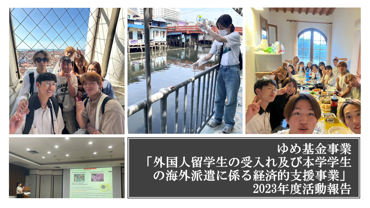 PJ画像